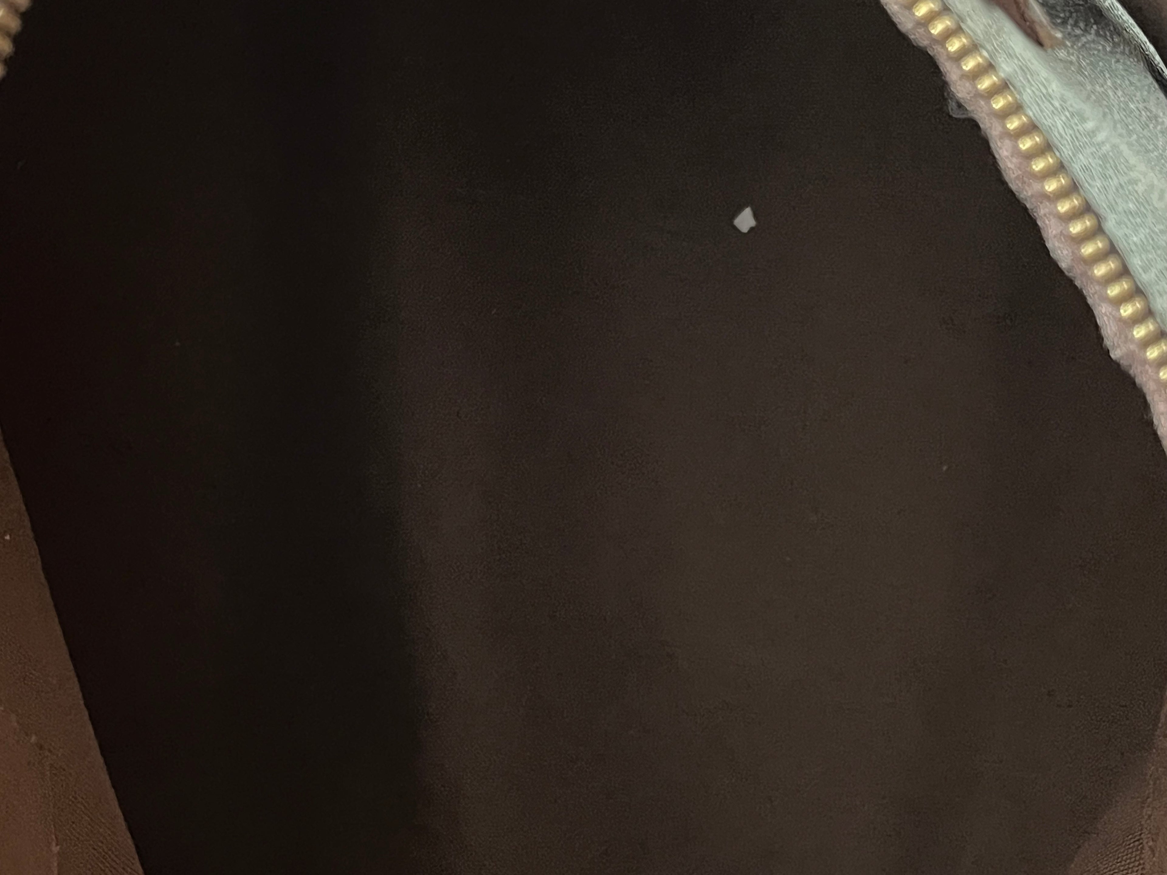 Sac Louis Vuitton speedy 30
