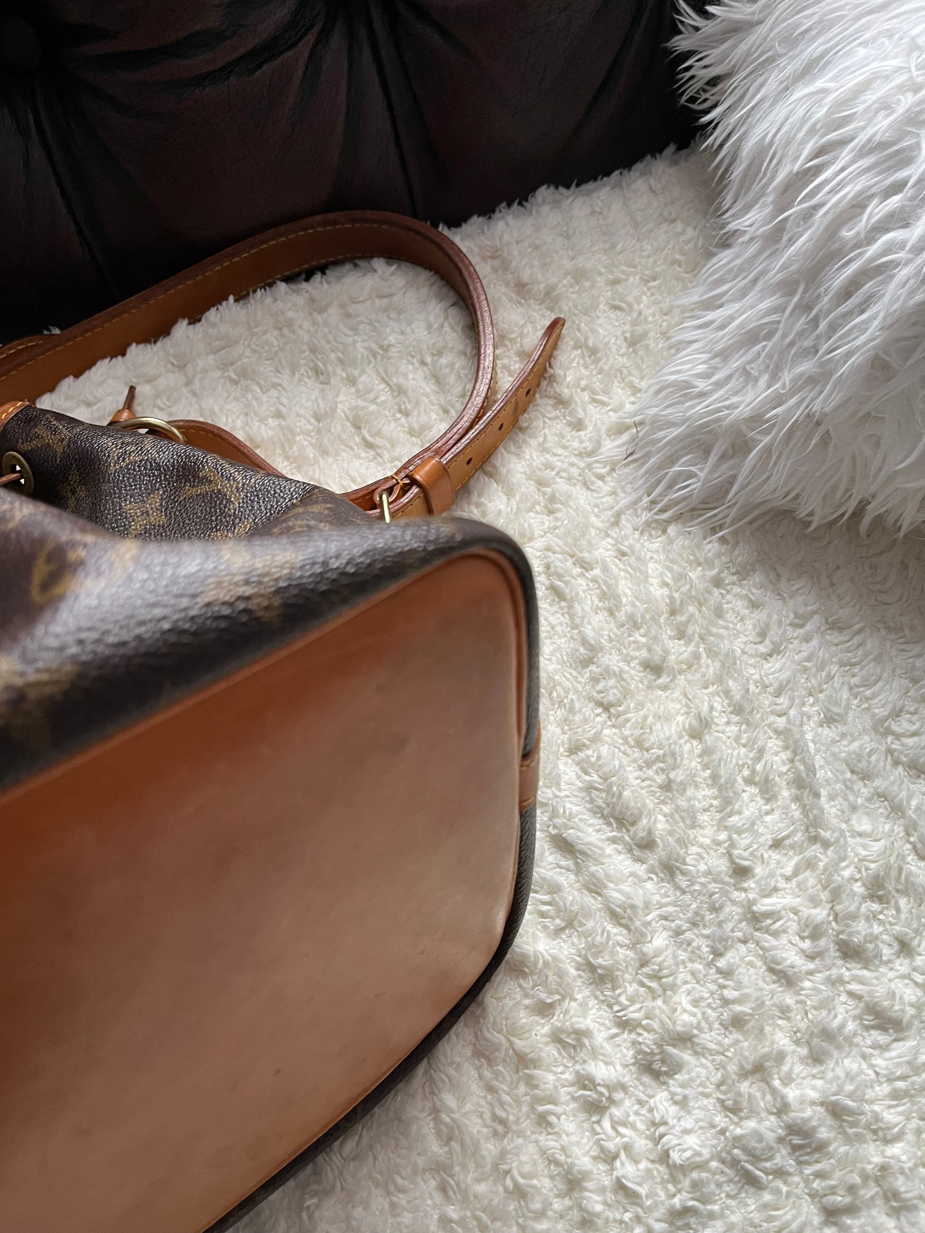 Sac Louis Vuitton Noé petit
