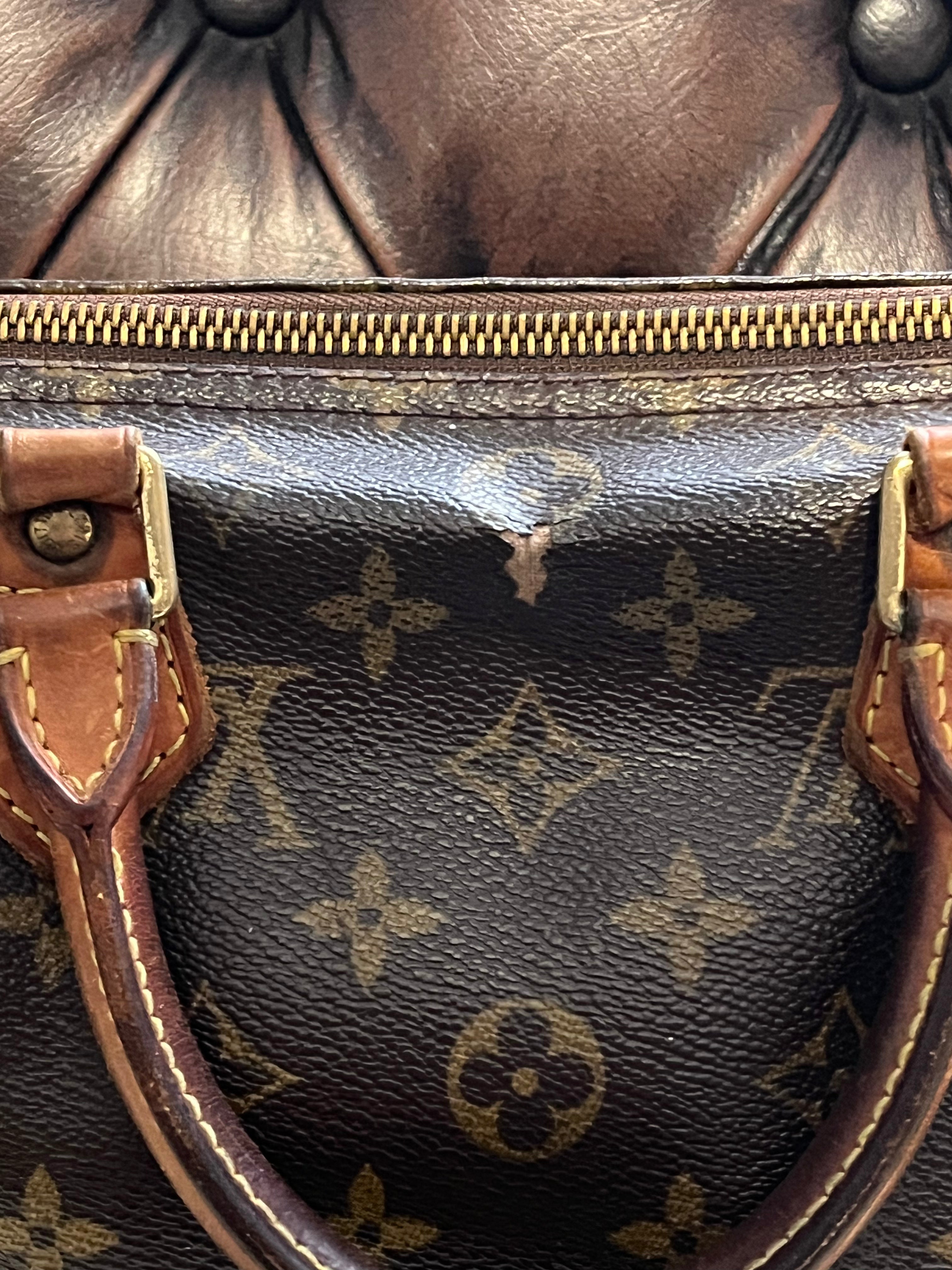 Sac Louis Vuitton speedy 30