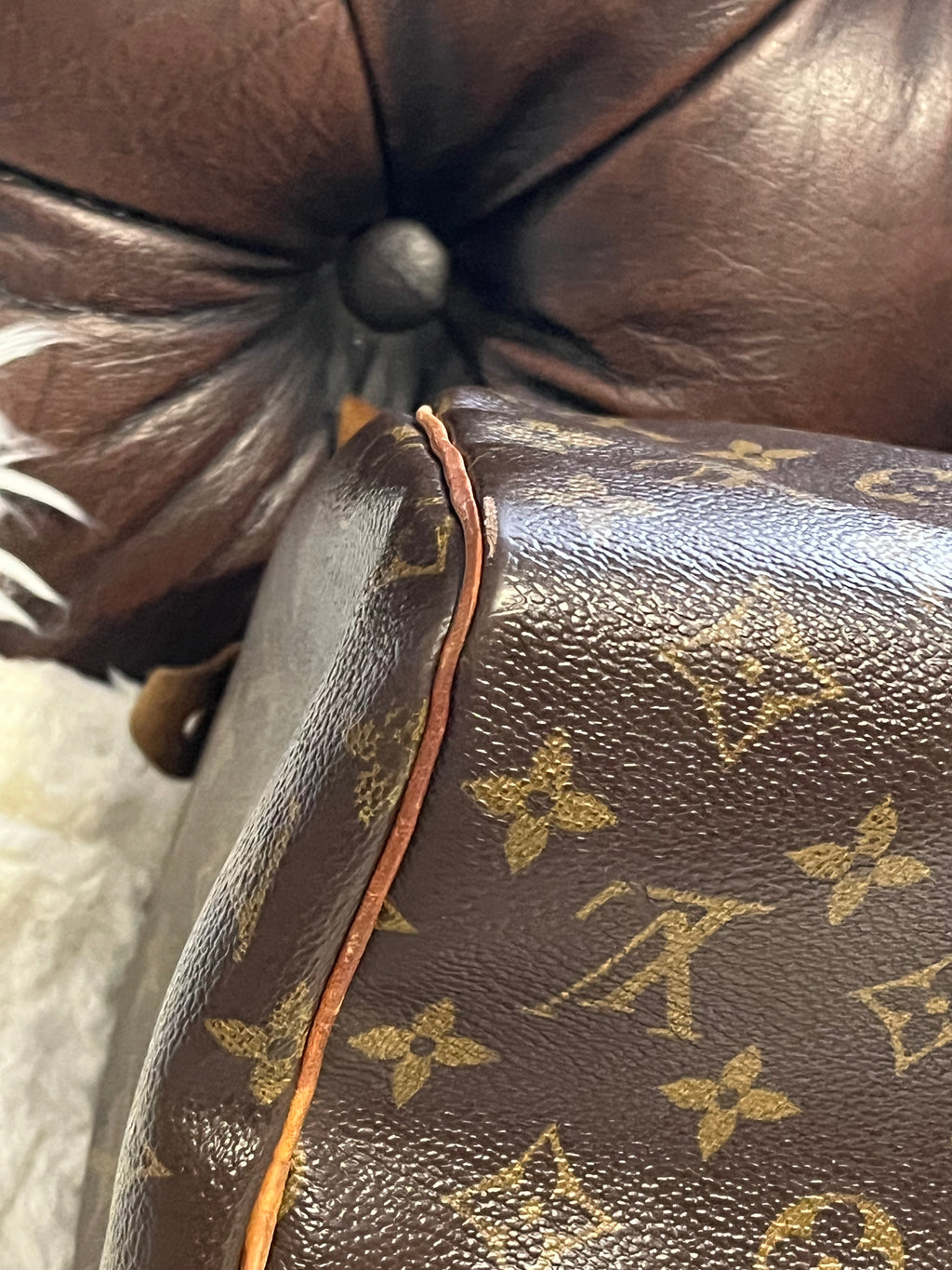 Sac Louis Vuitton speedy 30